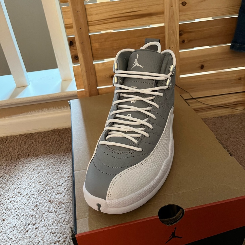 Air Jordan Retro 12